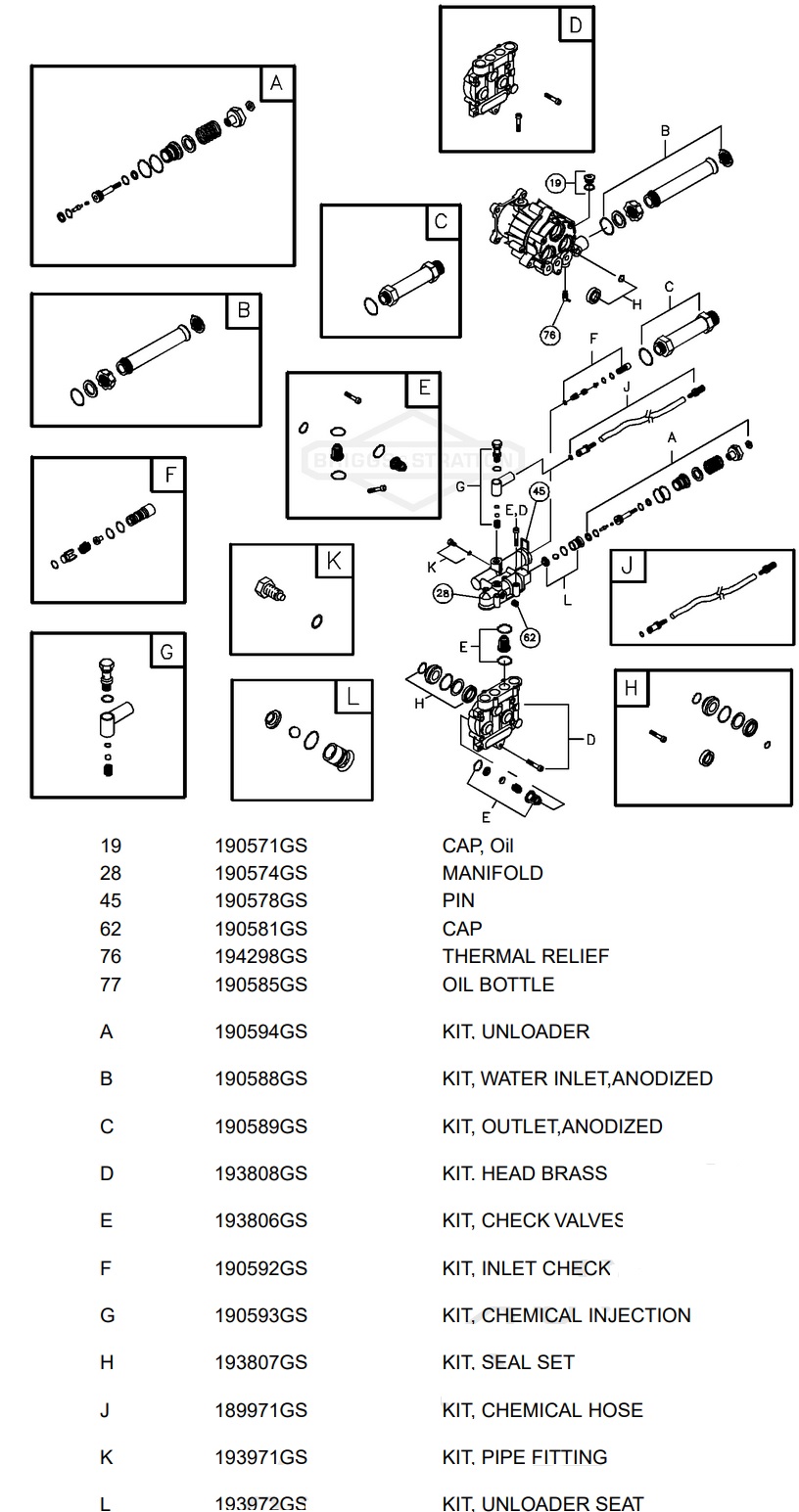 Briggs & Stratton 194059 pump replacement parts 